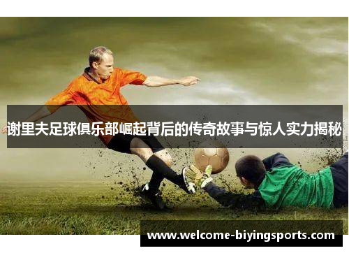 谢里夫足球俱乐部崛起背后的传奇故事与惊人实力揭秘 谢里夫足球俱乐部崛起背后的传奇故事与惊人实力揭秘