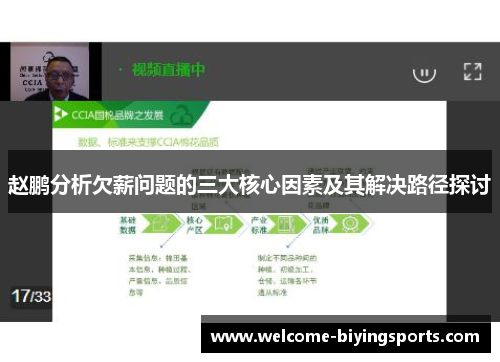 赵鹏分析欠薪问题的三大核心因素及其解决路径探讨 赵鹏分析欠薪问题的三大核心因素及其解决路径探讨