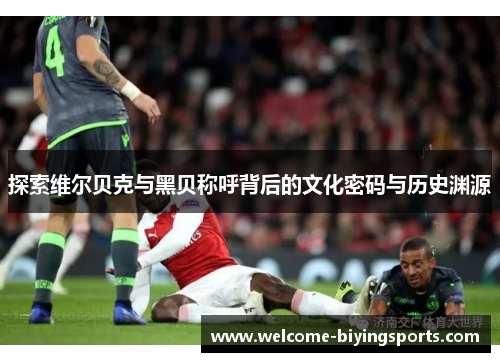 探索维尔贝克与黑贝称呼背后的文化密码与历史渊源 探索维尔贝克与黑贝称呼背后的文化密码与历史渊源