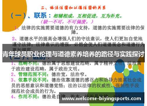 青年球员职业伦理与道德素养培养的路径与实践探讨