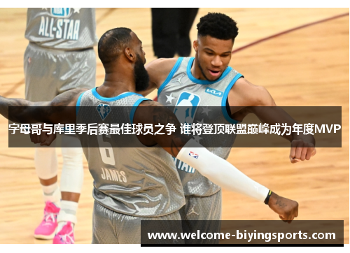 字母哥与库里季后赛最佳球员之争 谁将登顶联盟巅峰成为年度MVP